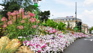 Fleurissement durable et environnement à Fronton