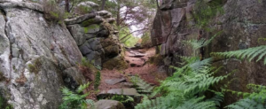Réserve de Biosphère de Fontainebleau et du Gâtinais