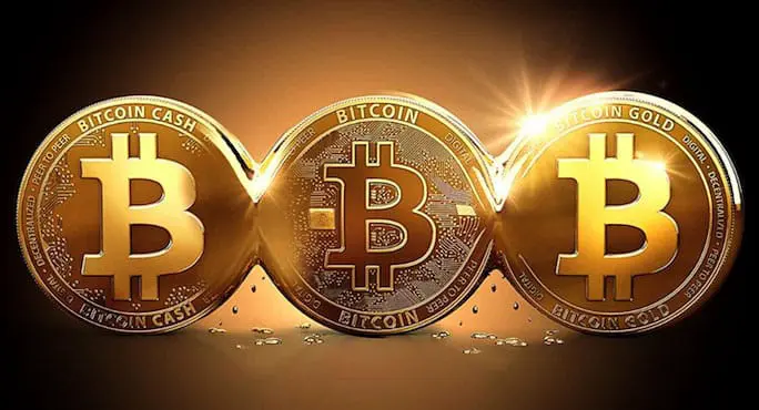 bitcoin-environnement