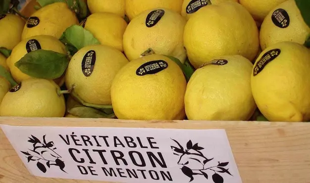 citron-de-menton-rare