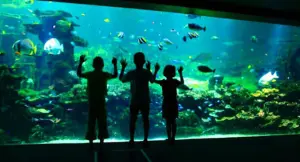 nausicaa-aquarium