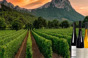Samedi Vin