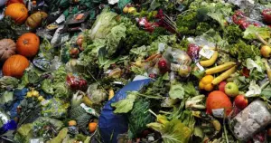 too good to go-gapillage-alimentaire
