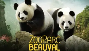 zoo de beauval-alimentation