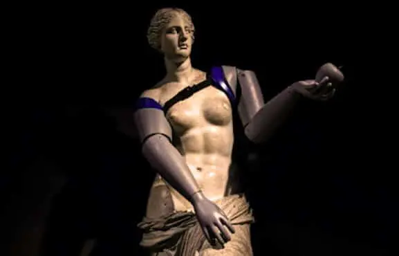 protheses-symboliques-venus