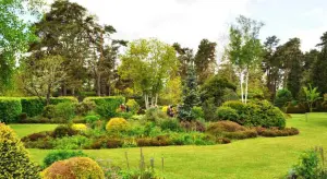 arboretum-versailles-chevreloup
