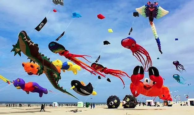 berck-mer-rencontre-cerfs-volants