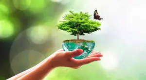 plan-biodiversite-protection