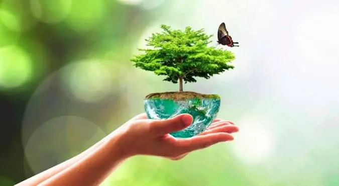 plan-biodiversite-protection