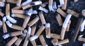 les mégots une nuisance pour l'environnement