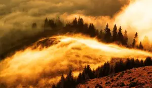 réchauffement climatique