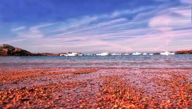 Des plages bretonnes deviennent rouge