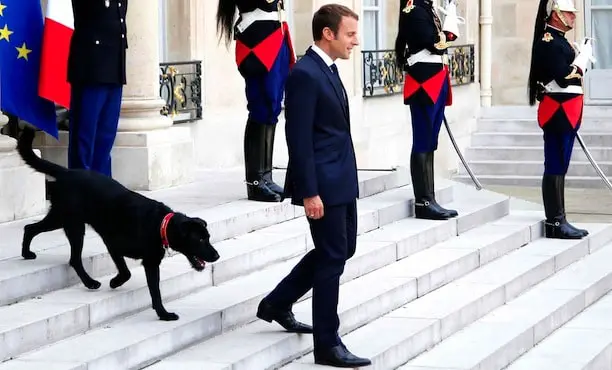 Emmanuel Macron avec son chien