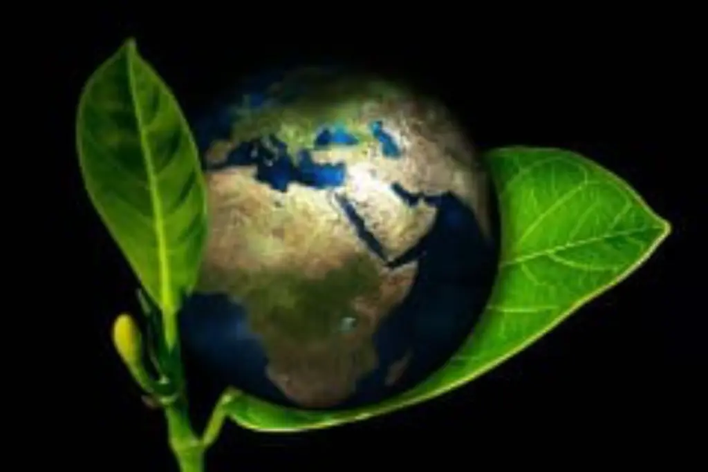 la terre posée sur une feuille