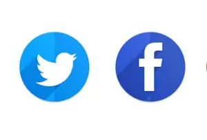 Facebook et Twitter peinent a convaincre