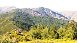 Monts Dardeche