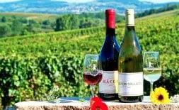 Vins De Bourgogne