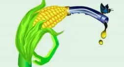 Rouler Grace Au Bioethanol