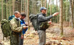 Trekking en foret