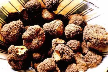 Bel Assortiment De Truffes Dans Une Assiette
