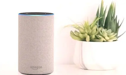 Lenceinte Echo Damazon