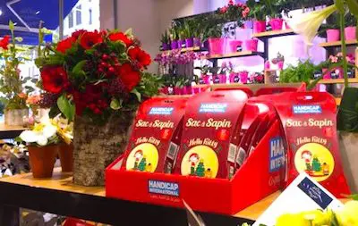 Les Sacs A Sapin De Handicap International