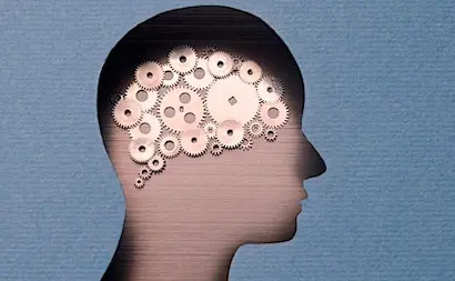 Un Budget Prevu Pour La Psychiatrie