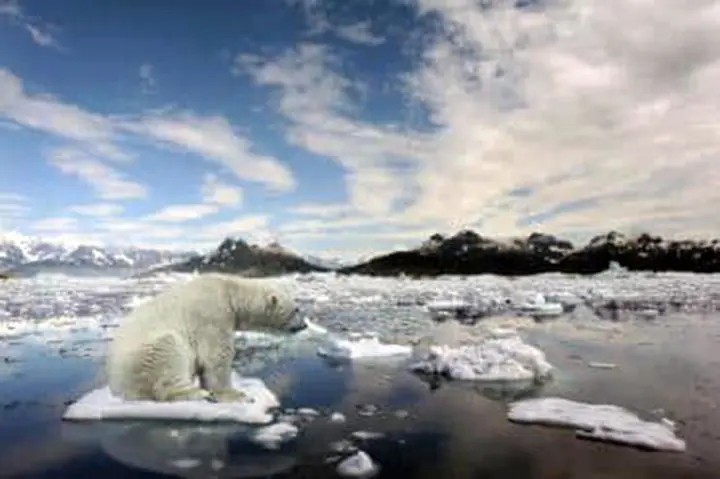Climat des solutions locales