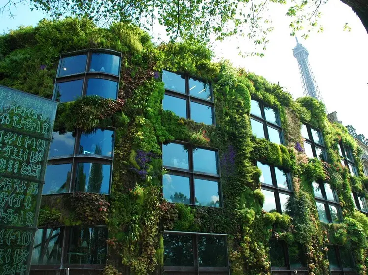 La Vegetalisation Des Batiments Composer Avec La Nature En Ville