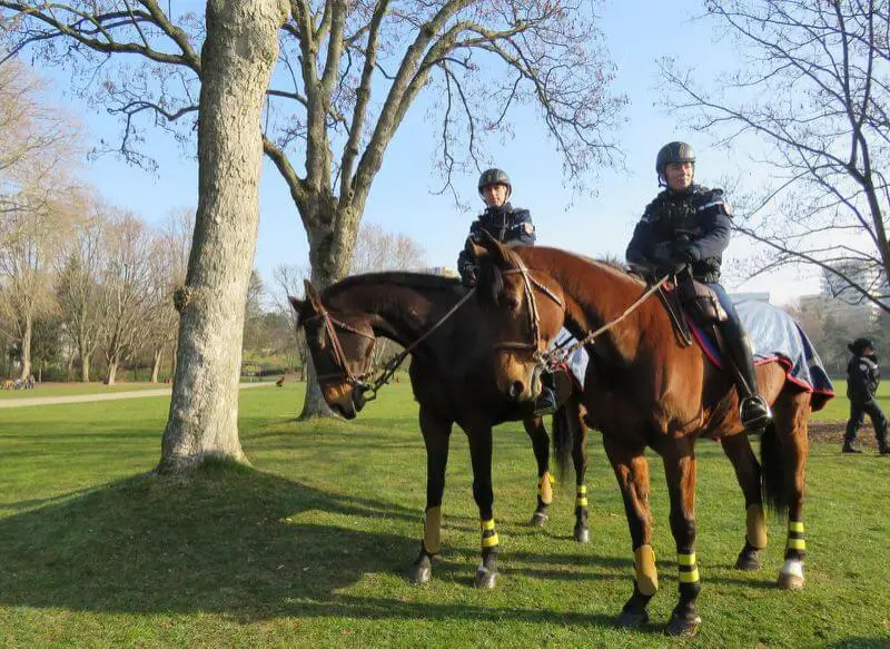 deux policiers sur leurs chevaux