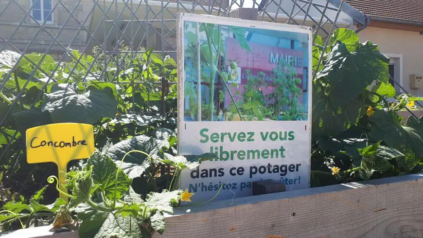 un jardin avec un panneau indiquant que l'on peut se servir