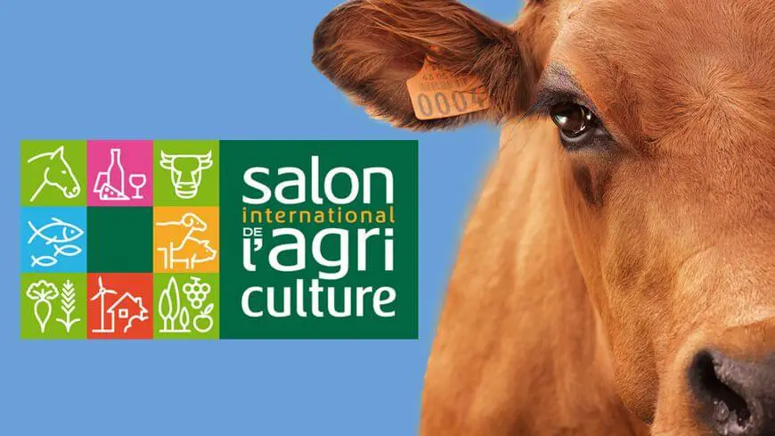 l'affiche du salon de l'agriculture avec une vache