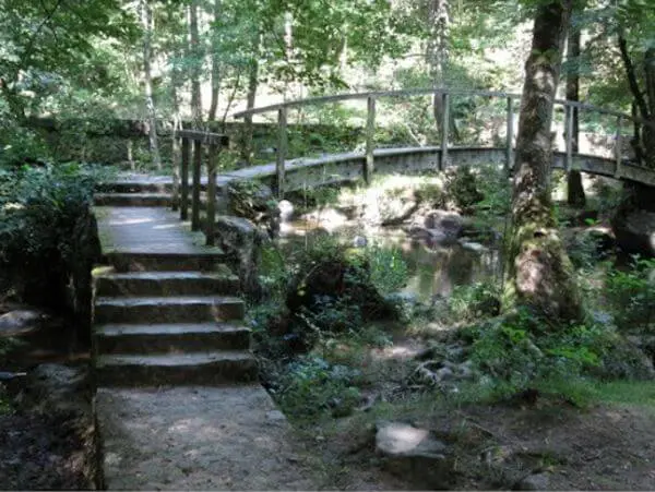 une foret à Avallon