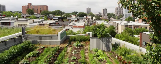 une ferme urbaine en plein centre ville