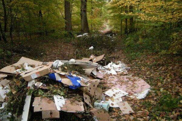des sacs poubelles dans une forêt