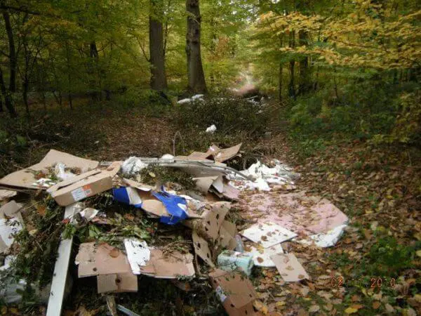 des sacs poubelles dans une forêt