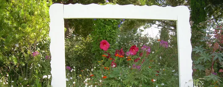 des fleurs et de la verdure