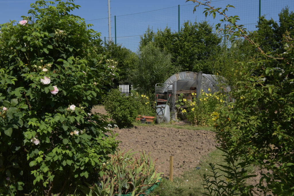 un jardin