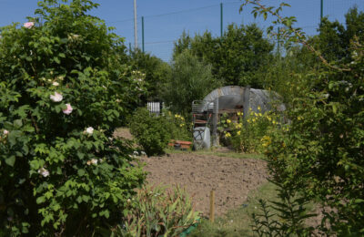 un jardin