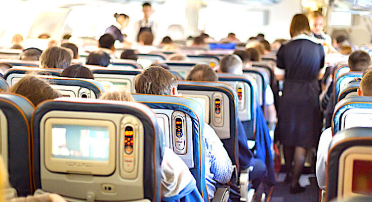 Des restrictions sur certains voyages en avion pourraient être votées.