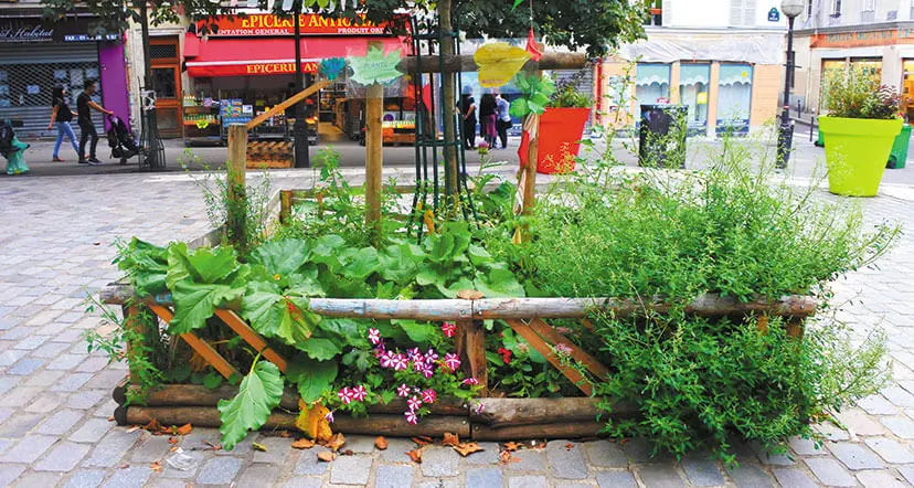 la végétation en ville