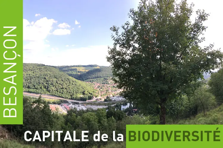 Besançon, capitale de la biodiversité