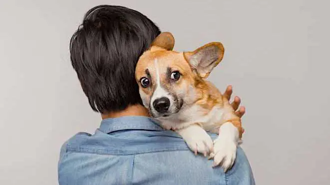 Cropped Pour Sa Se Curite Informatique Trop Donner Le Nom De Son Animal De Compagnie Est Risque