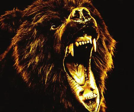 La modération des propos haineux publiés sur Internet devrait s'améliorer.