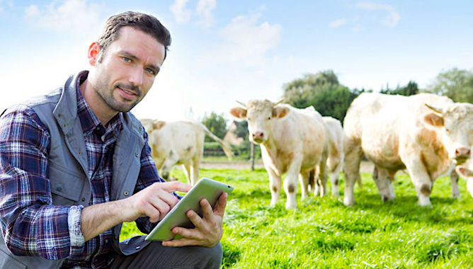 Agrikolis est un nouveau réseau de points-relais qui aide les agriculteurs.