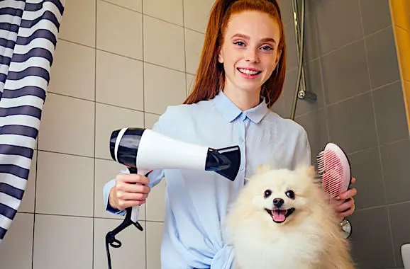 Le Parti animaliste rencontre un accueil de plus en plus favorable en France.