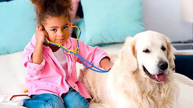 Cropped Souvent Des Pesticides Domestiques Sont Utilise S Pour Soigner Les Animaux De La Maison