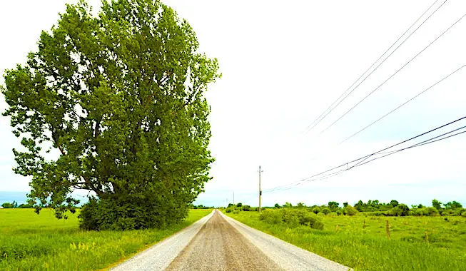 La qualité du réseau de téléphonie mobile s'améliore nettement dans les zones rurales.