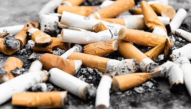 La chasse aux mégots à Toulouse rencontre un vrai succès citoyen.