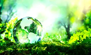Les causes du dérèglement climatique
